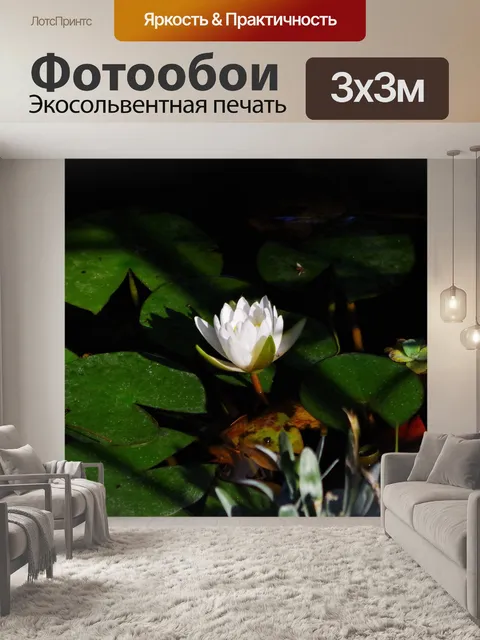 Фотообои Цветок