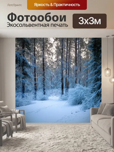 Фотообои лес с зимним пейзажем, покрытым снегом, застывшими деревьями и холодным светом