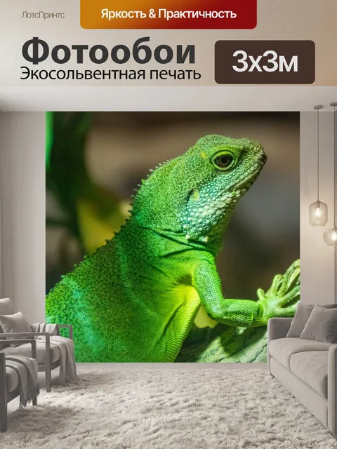 Фотообои Китайский водяной дракон
