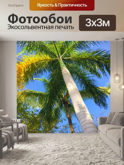 Фотообои Пальмы и голубое небо
