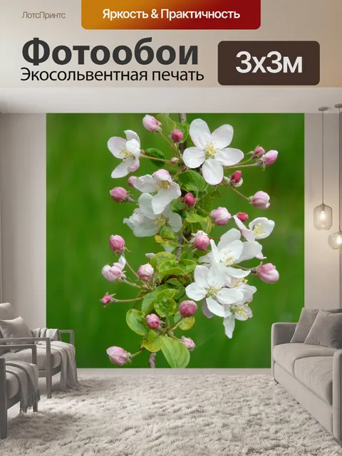 Фотообои Цветение яблони