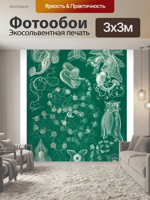 Фотообои Винтажное искусство иллюстрации медуз
