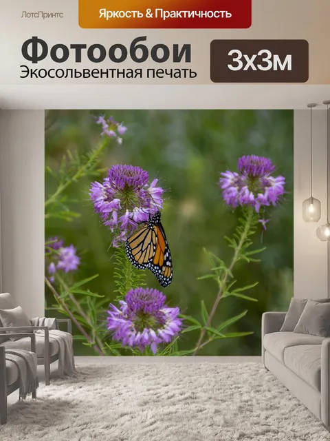 Фотообои бабочка на мимозе