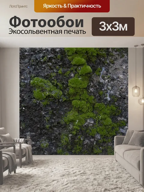 Фотообои Зеленый мох фон