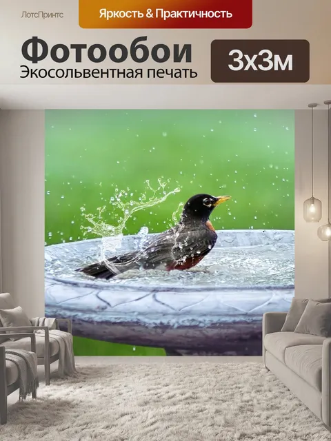 Фотообои Птица ванна