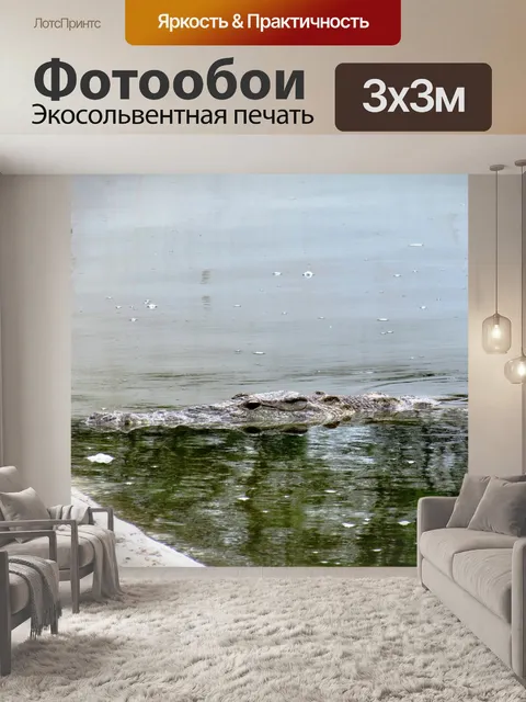 Фотообои Аллигатор