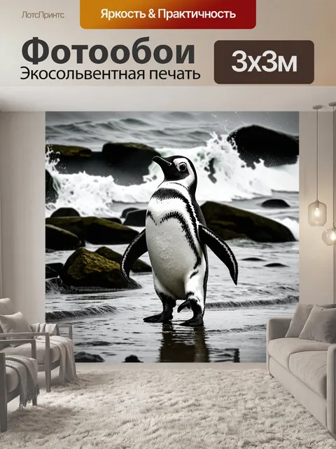 Фотообои пингвин, уверенно шагающий по мокрое каменное побережье, с волнами, разбивающимися о камни