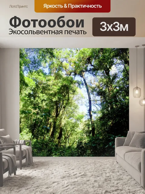 Фотообои Природа тропический лес дои Интанон наци