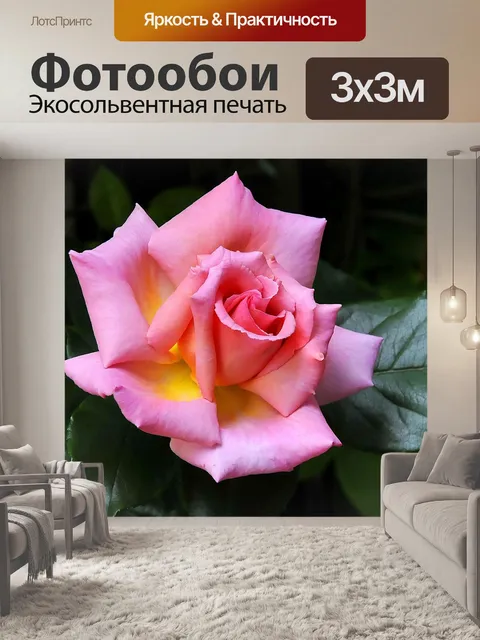 Фотообои Плетистая роза