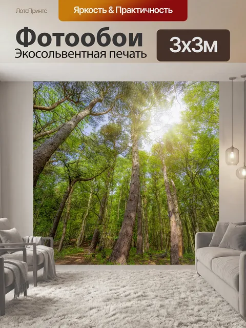 Фотообои лес