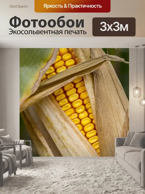 Фотообои Кукуруза