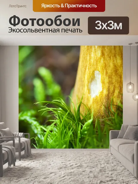 Фотообои Дикий