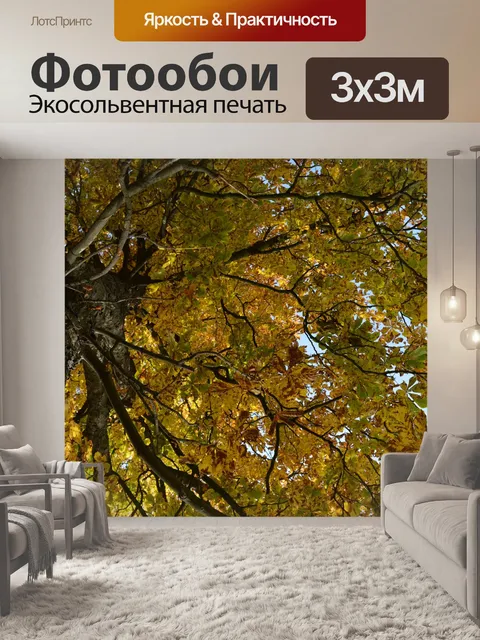 Фотообои Осень