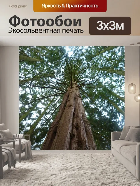 Фотообои Красное дерево