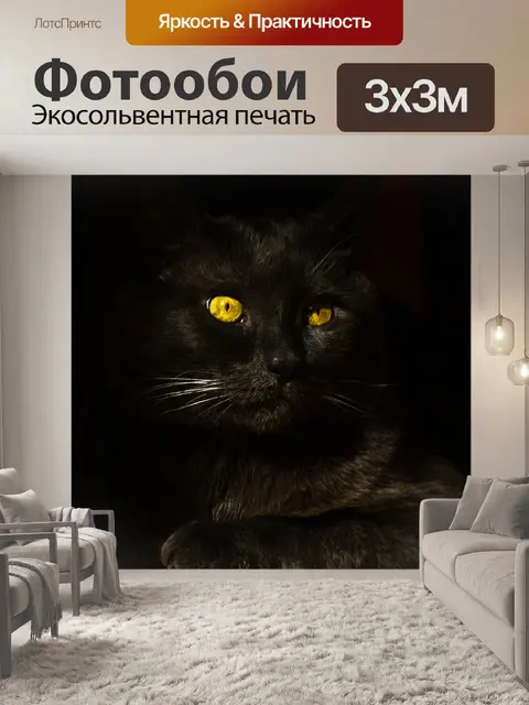 Фотообои Cat