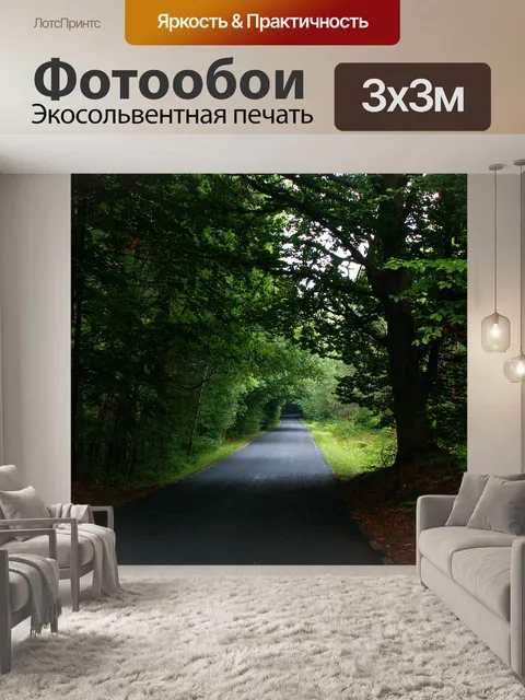 Фотообои Путь