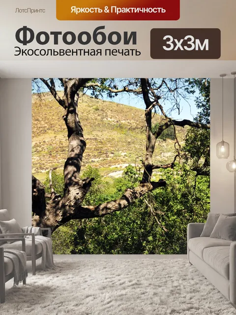 Фотообои Деревья и Золотая гора