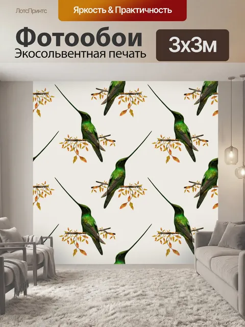 Фотообои Обои Колибри