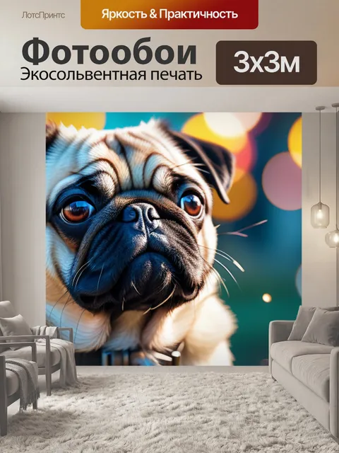 Фотообои с мопсом