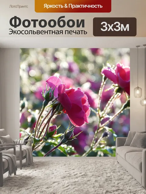 Фотообои Роза