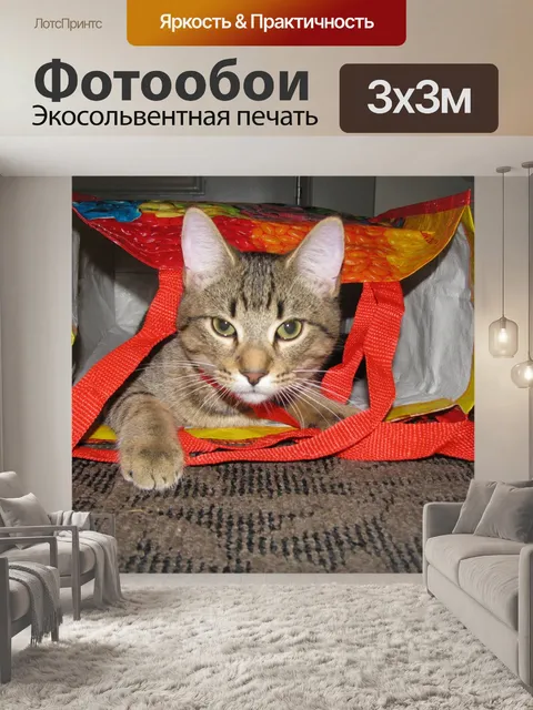 Фотообои Кошка