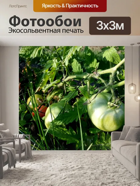Фотообои Зеленый Томатный
