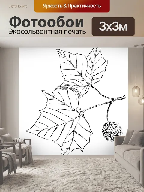 Фотообои Платан листья иллюстрации