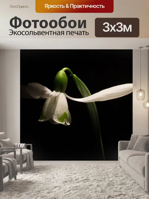 Фотообои Подснежник