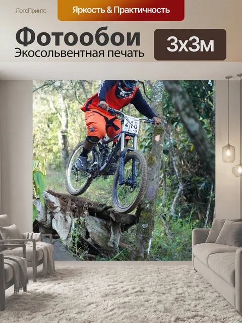 Фотообои Спуск