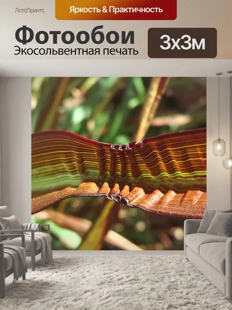 Фотообои Лен