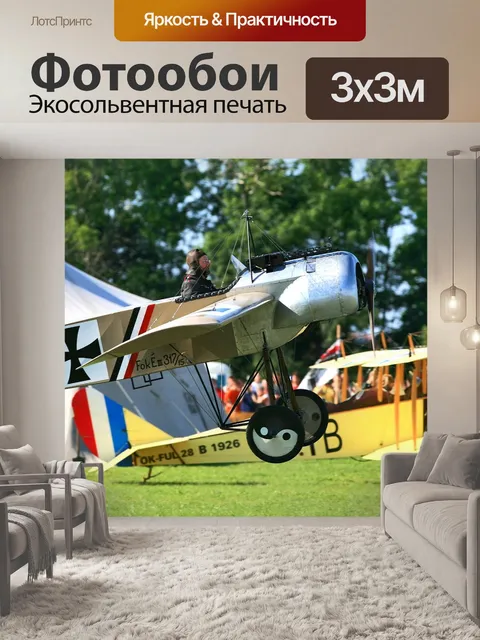 Фотообои Зноймо аэропорт
