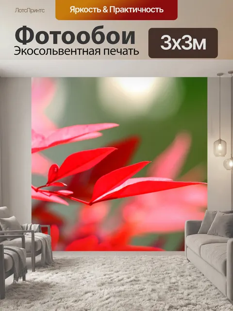 Фотообои стройные красные листья священного бамбу
