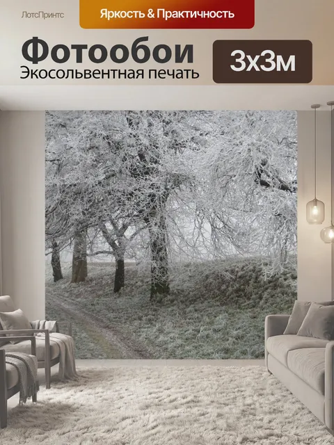 Фотообои Зима аллея
