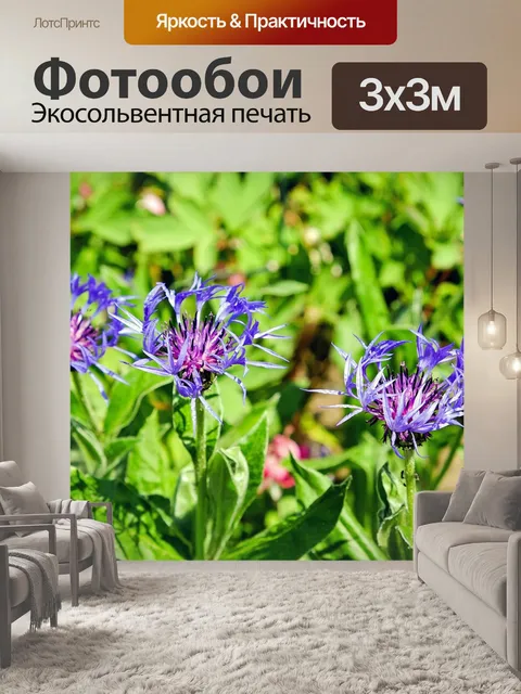 Фотообои Василек