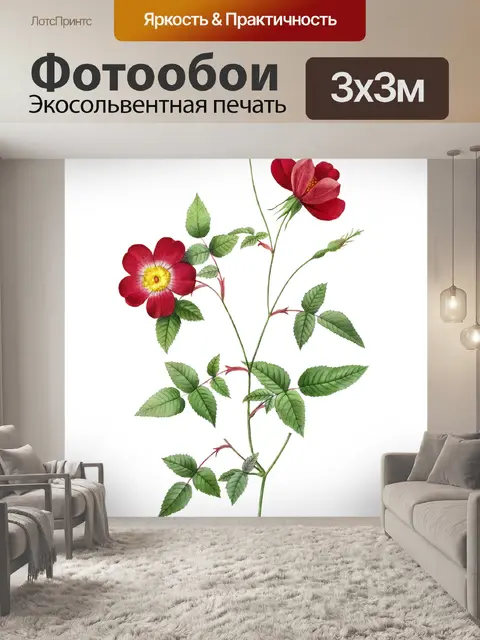 Фотообои Клипарт Rose flower vintage