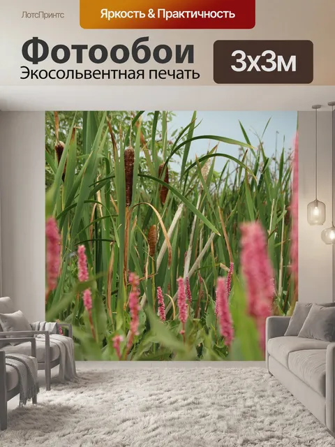 Фотообои Марш Фиолетовый Розовый цветок Cattails