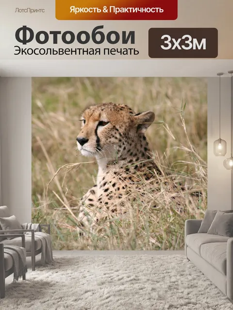 Фотообои Африканское животное