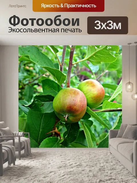 Фотообои Яблоко