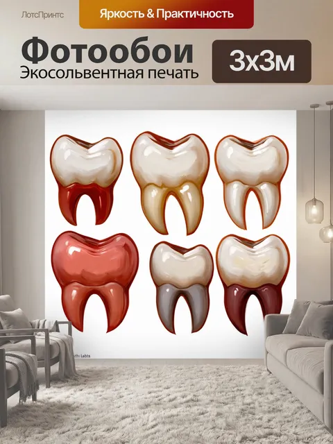 Фотообои эстетическая композиция из нескольких зубов различной формы и цвета на белом фоне