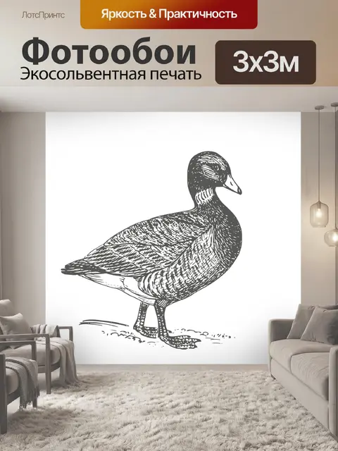 Фотообои Утка Иллюстрации Арт
