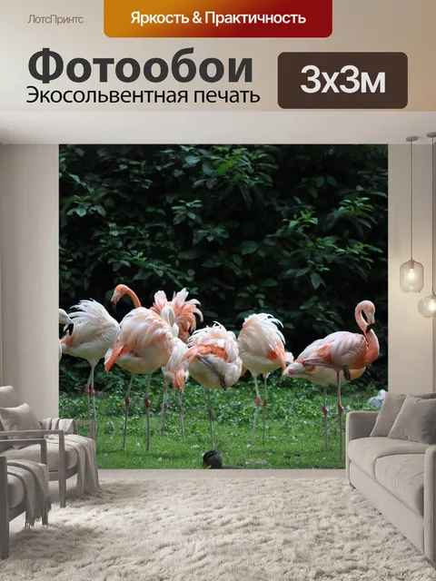 Фотообои Фламинго