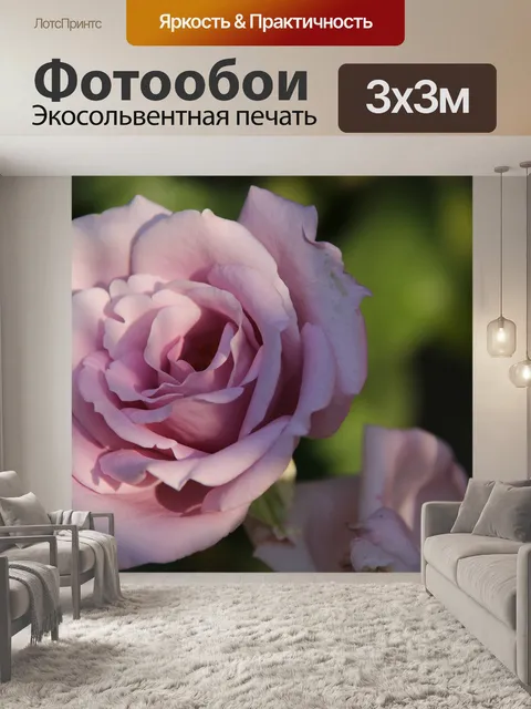 Фотообои Розы голубая луна
