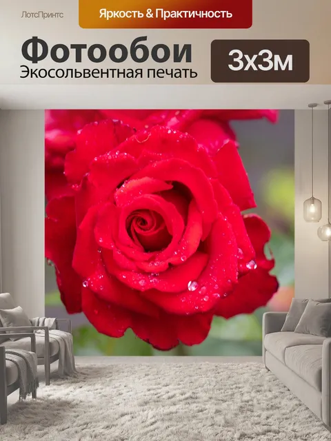Фотообои Красная роза
