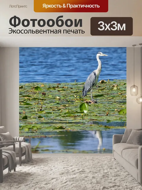 Фотообои Серая цапля
