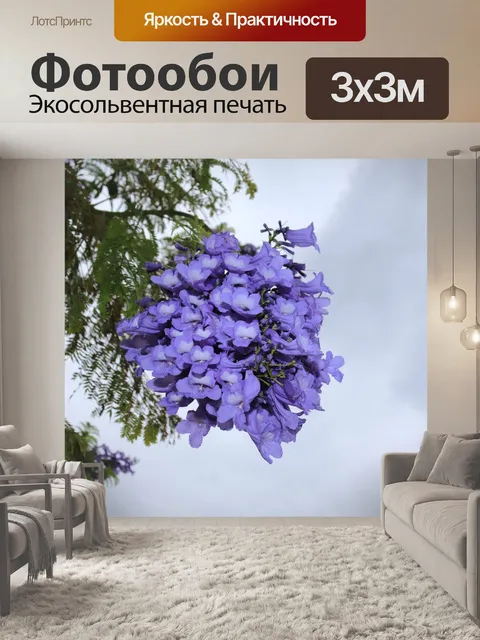 Фотообои Расцветает