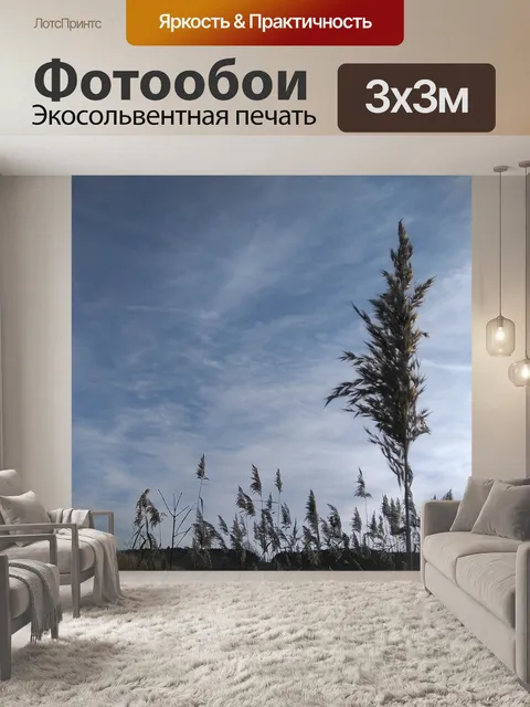 Фотообои Небеса