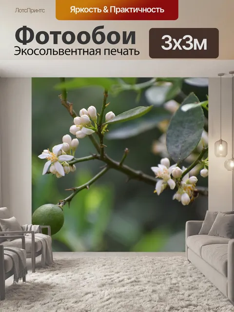 Фотообои Лимонное дерево