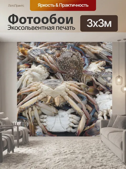 Фотообои Морепродукты
