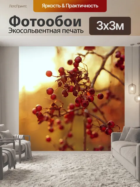 Фотообои Ягоды рябины