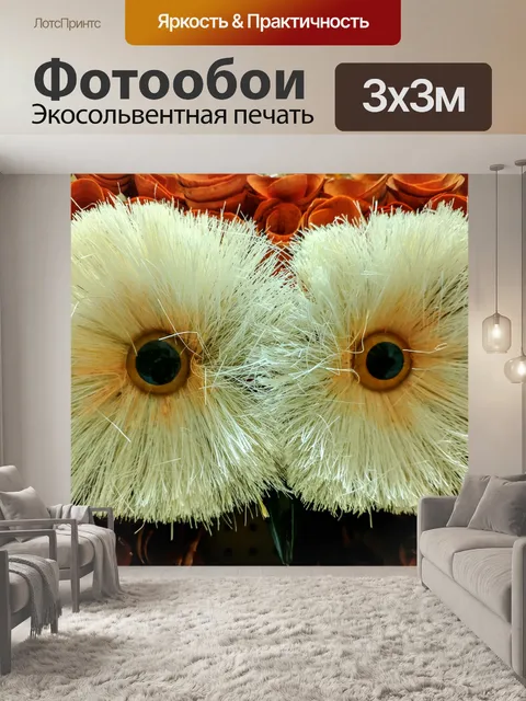 Фотообои Украшение совы